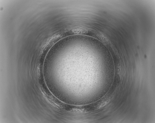 X0000055990690200508261725