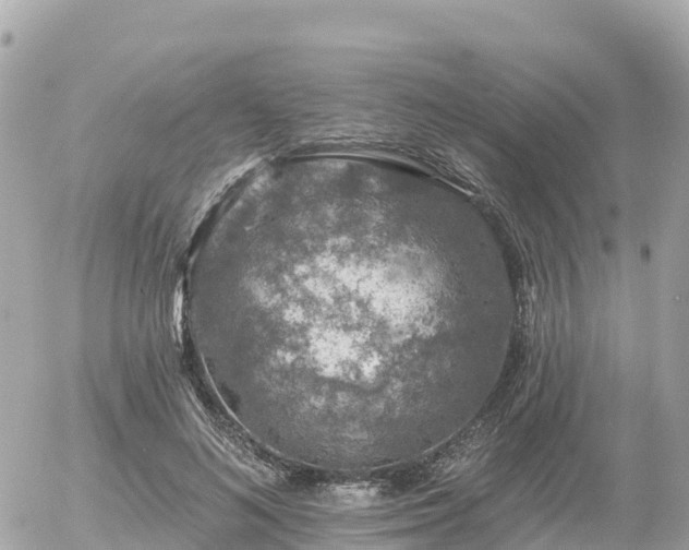 X0000055990692200508261724