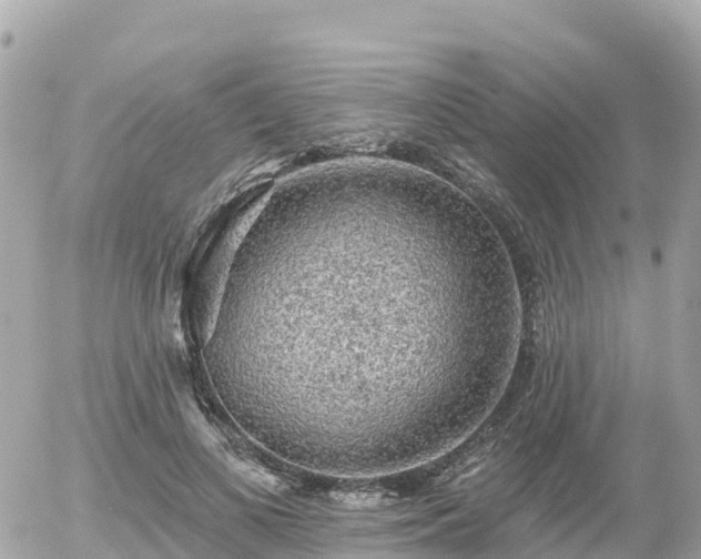 X0000055990693200508261724