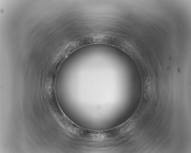 X0000055990698200508261724