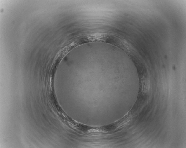 X0000055990699200508261724