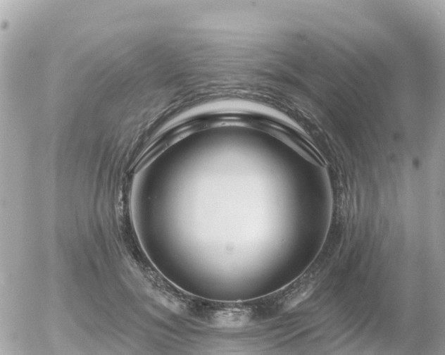 X0000055990700200508261724