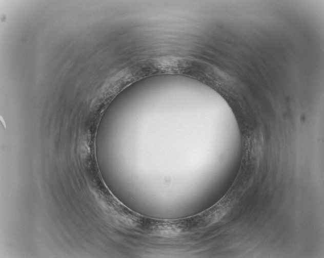 X0000055990702200508261724