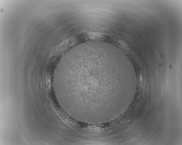 X0000055990703200508261724