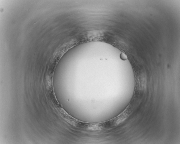 X0000055990705200508261724