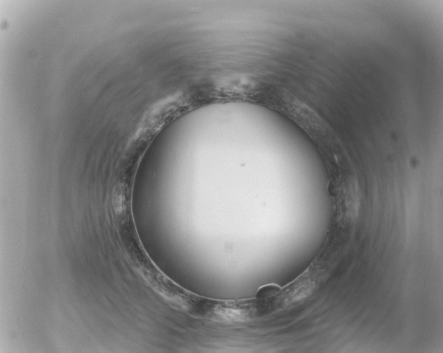 X0000055990706200508261724