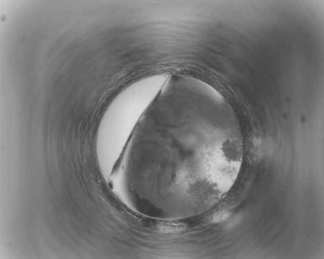 X0000055990707200508261724