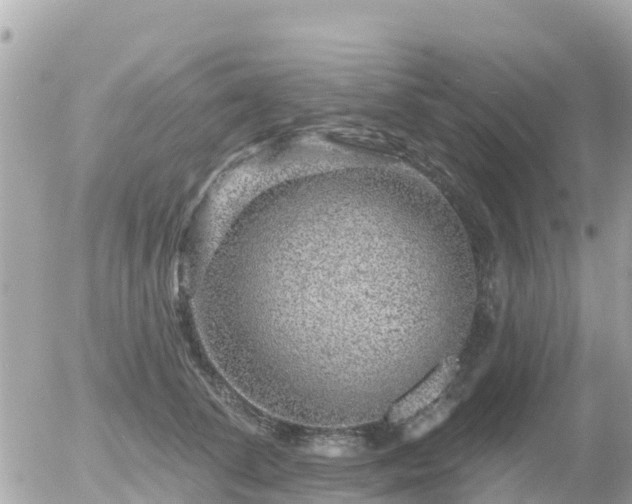 X0000055990708200508261724