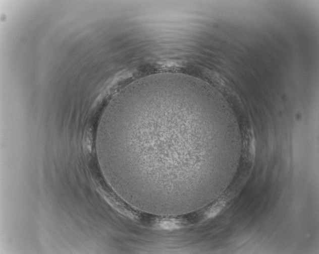 X0000055990710200508261724