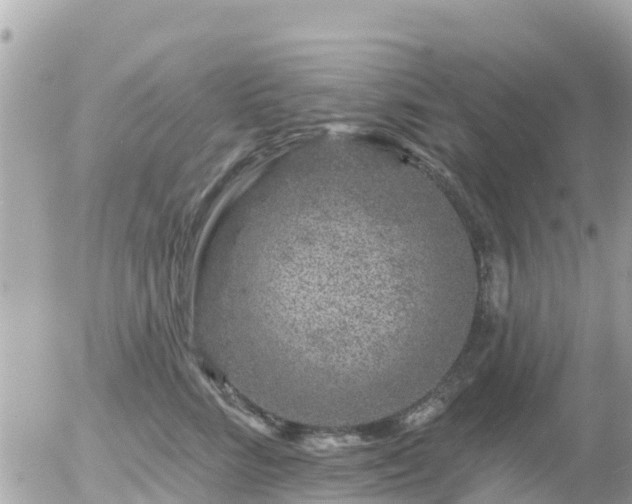 X0000055990712200508261724