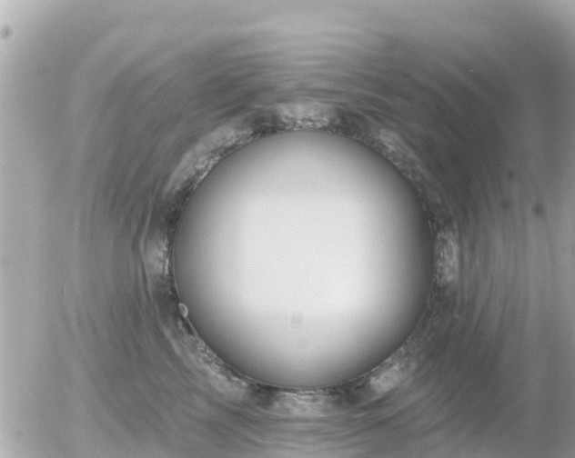 X0000055990713200508261724