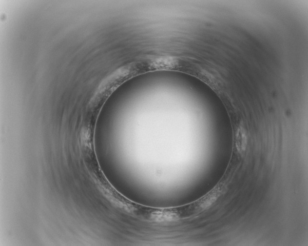 X0000055990714200508261724