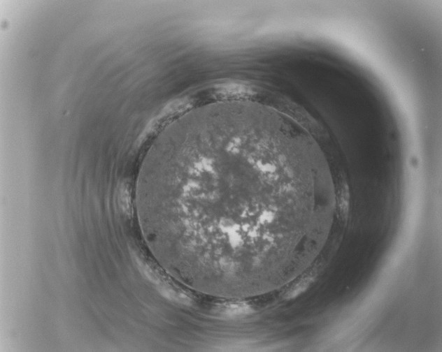 X0000055990715200508261724