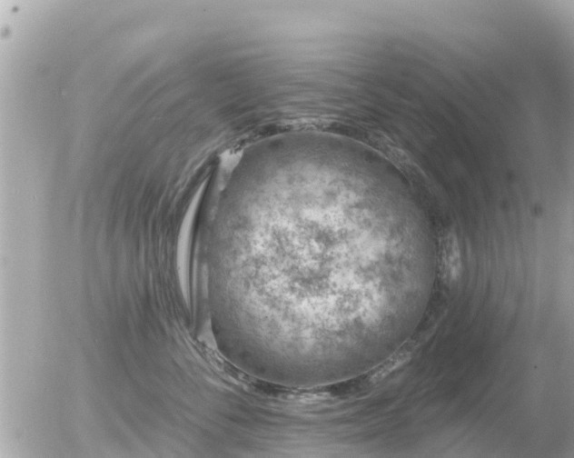 X0000055990716200508261724