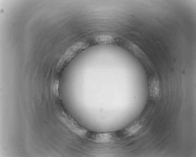 X0000055990717200508261724