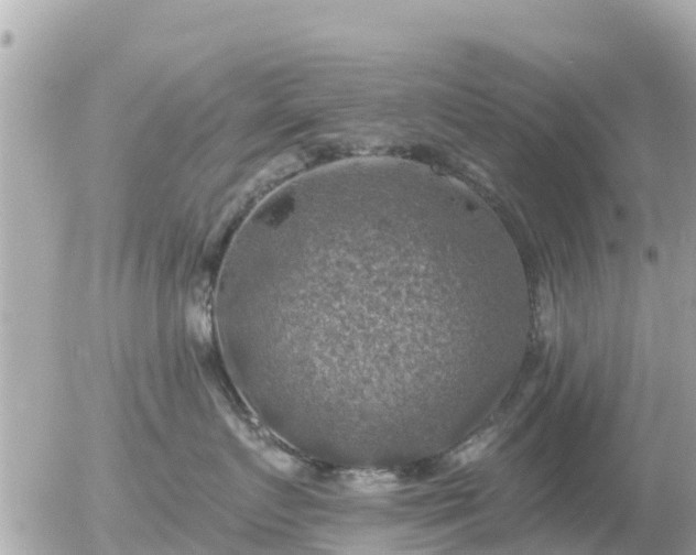 X0000055990719200508261724