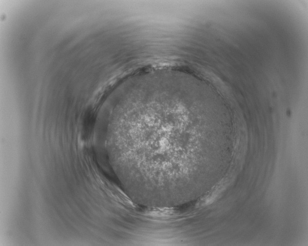 X0000055990720200508261724