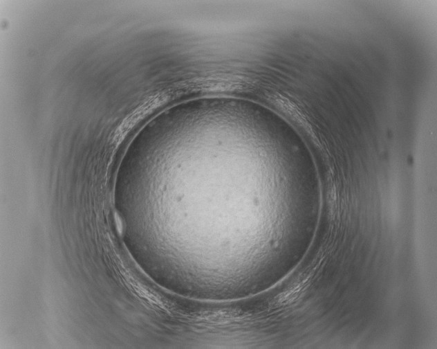 X0000055990721200508261723