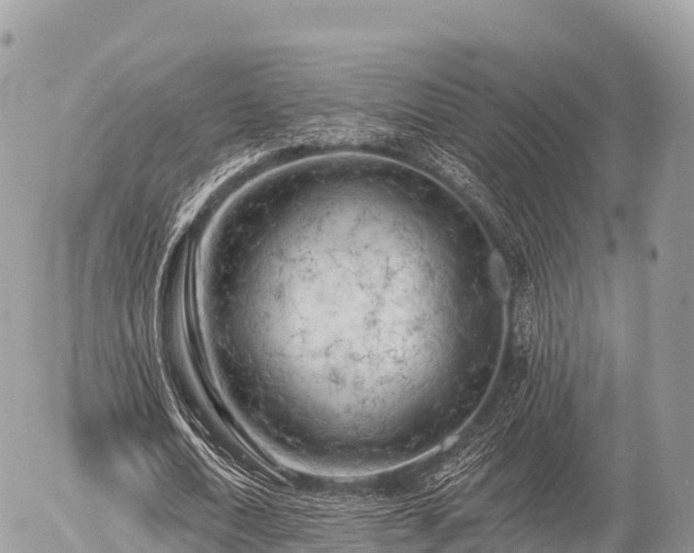 X0000055990722200508261723