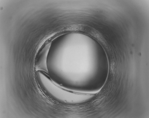 X0000055990724200508261723