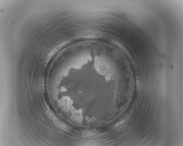 X0000055990725200508261723