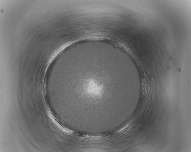 X0000055990726200508261723