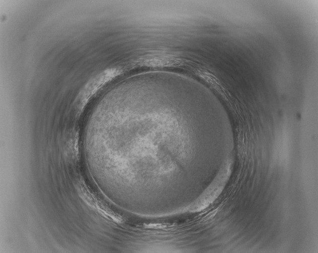 X0000055990727200508261723