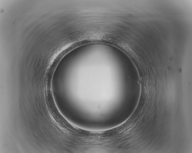 X0000055990728200508261723