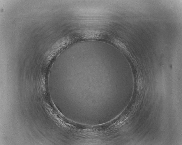 X0000055990729200508261723