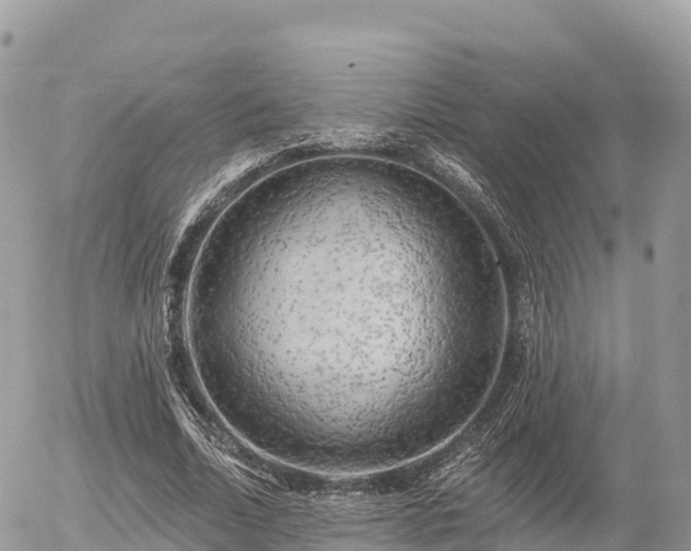 X0000055990730200508261723