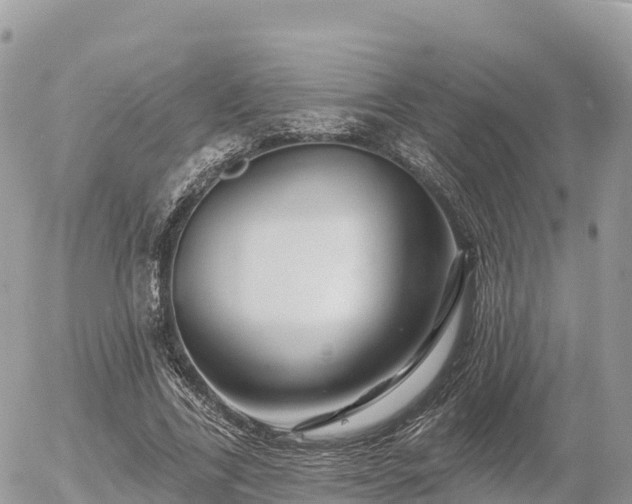 X0000055990731200508261723