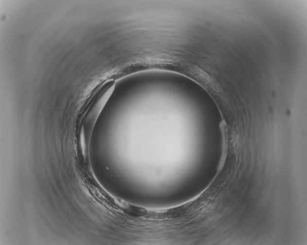 X0000055990732200508261723