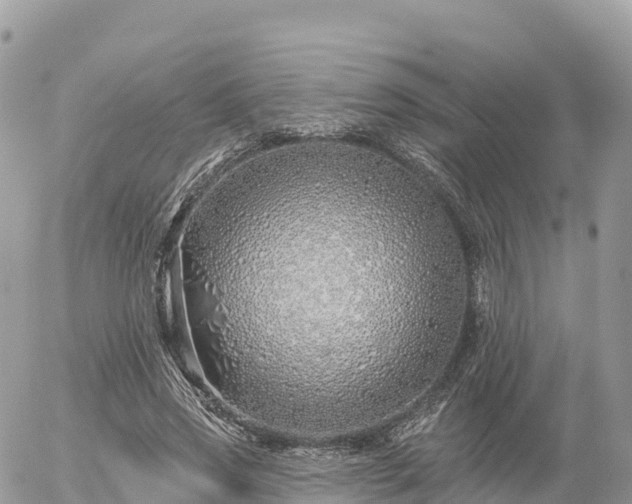 X0000055990733200508261723