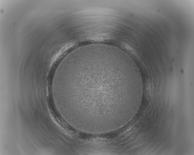 X0000055990734200508261723