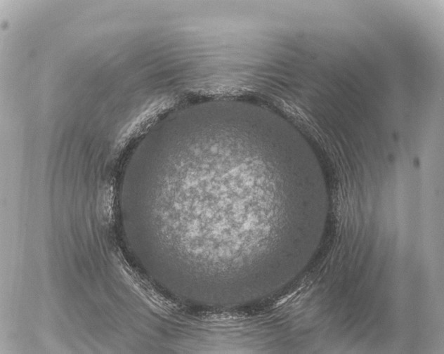 X0000055990735200508261723