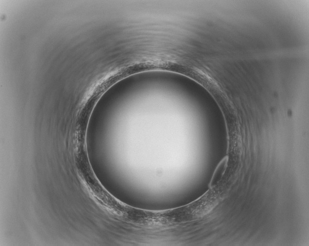 X0000055990736200508261723