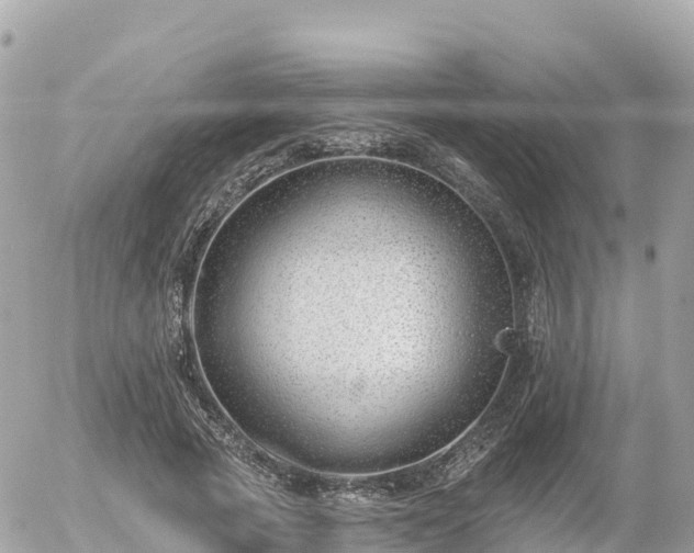 X0000055990737200508261723