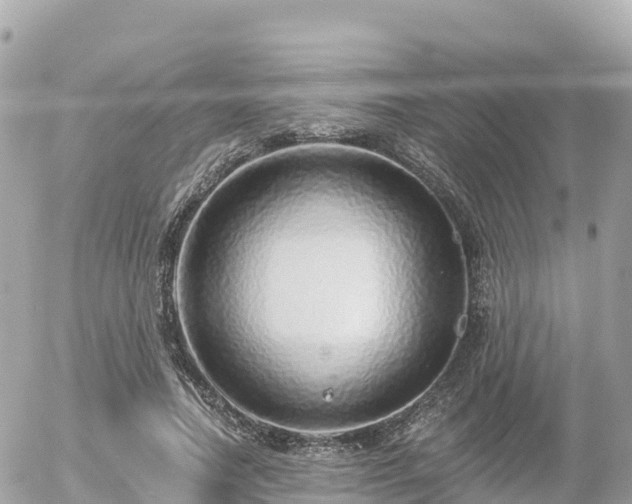 X0000055990738200508261724