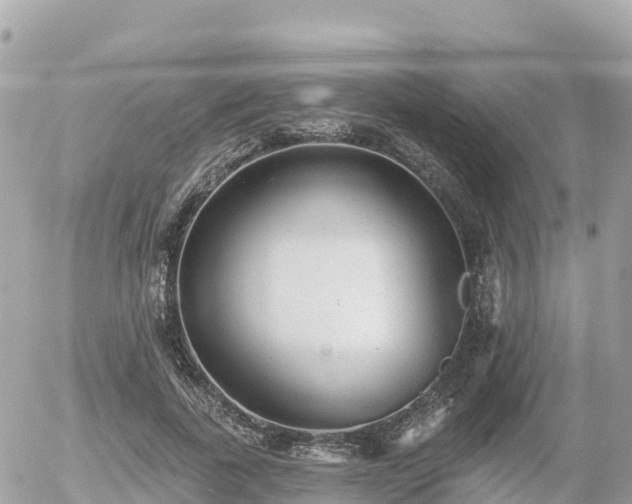 X0000055990739200508261724