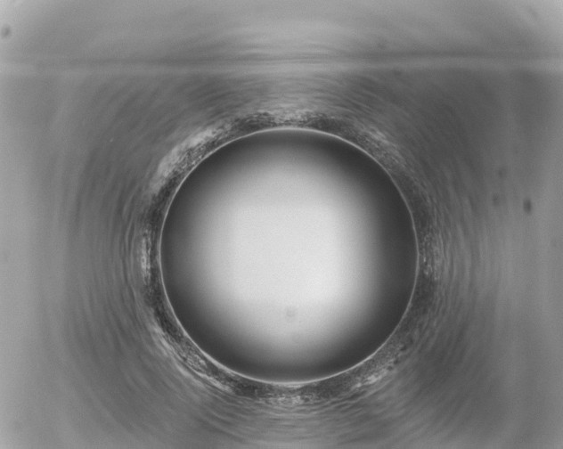 X0000055990740200508261724