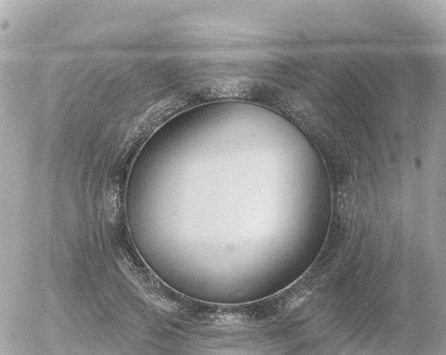 X0000055990741200508261724