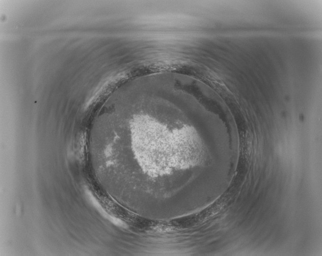 X0000055990742200508261724