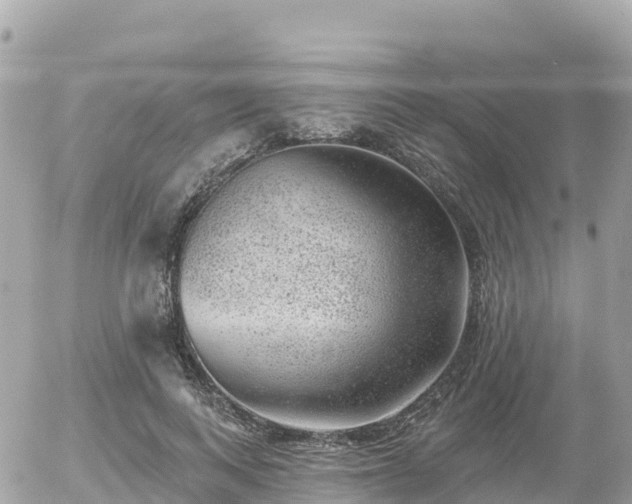 X0000055990743200508261724