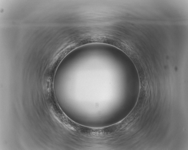 X0000055990744200508261724