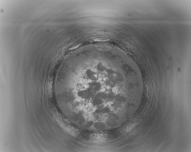 X0000055990745200508261724