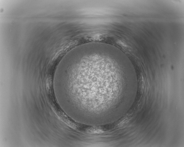 X0000055990747200508261724