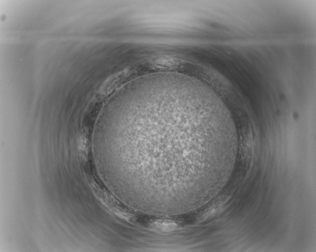 X0000055990749200508261724