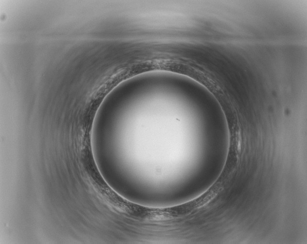 X0000055990750200508261724