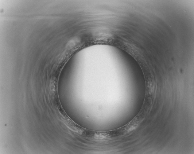 X0000055990753200508261724