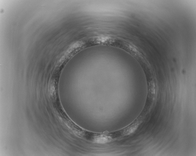 X0000055990754200508261724